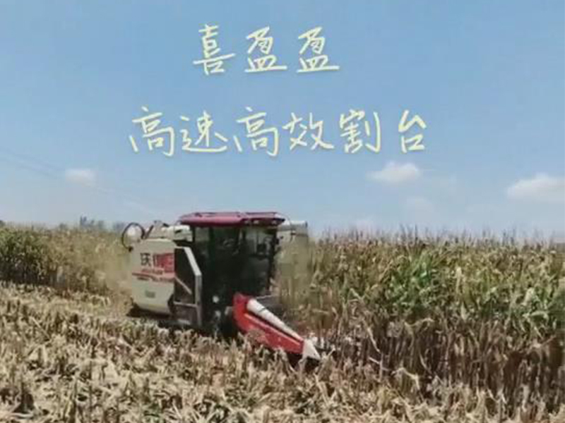 喜盈盈玉米專用割臺(tái)收割效果視頻