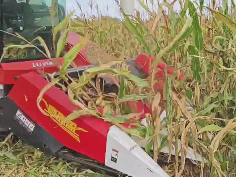 喜盈盈多功能雜糧割臺(tái)收割效果視頻